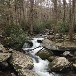 Meet your Posher, Elise